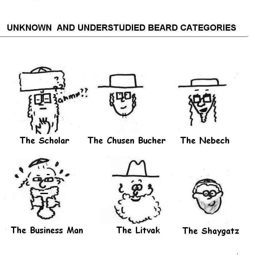 A collage of different beard categories belonging to different categories of people